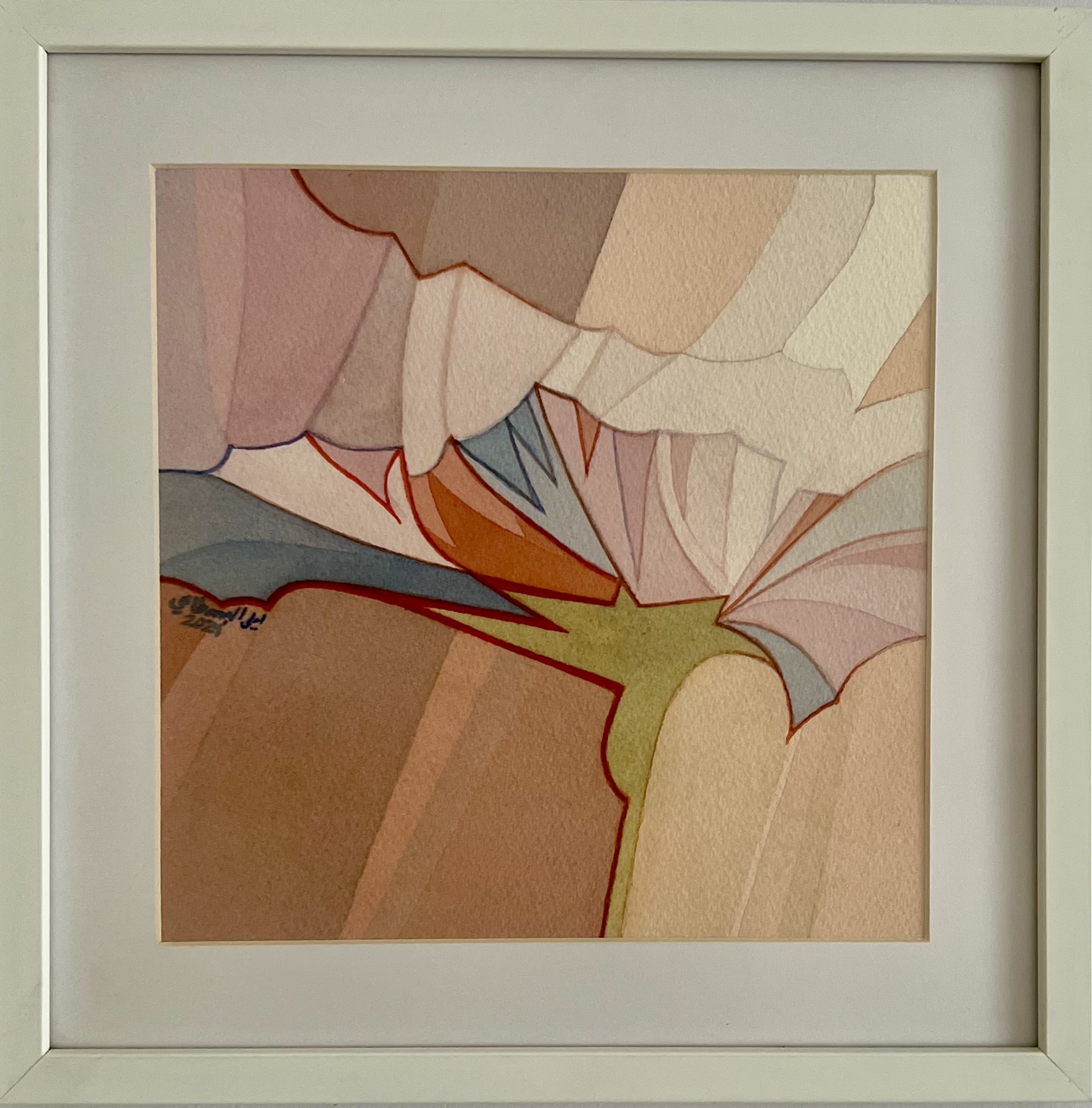 Carnations have pride too