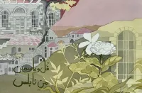 Arabian and white Jasmin from the old city of Nablus