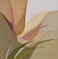 Tulips yearning with affection