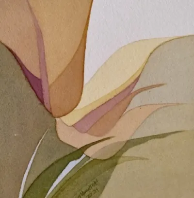 Tulips yearning with affection