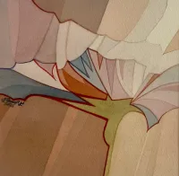 Carnations have pride to