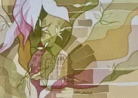 The Blossoms at a secret window