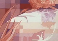 Carnation flowers making the scene