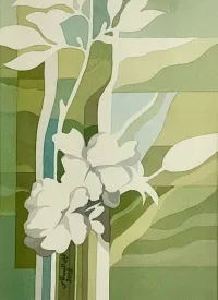 White Jasmin