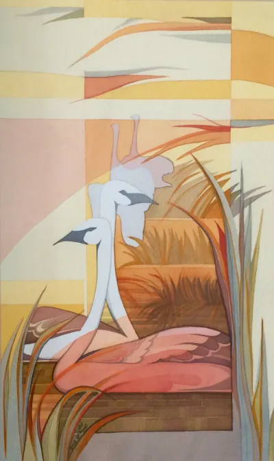 Pelicans in shallow water