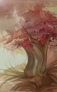 Beauty of a carnation 